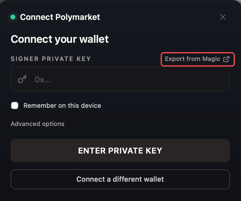 Tela Connect your wallet com o link Export from Magic destacado